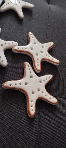 Set stelle marine in - stelle,