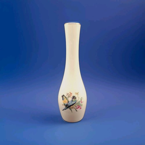 Vaso bud ardco fine - bud, quality