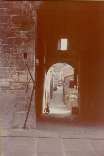 19874t vecchie foto originali - 19874t,