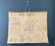 Poster botanico vintage anni