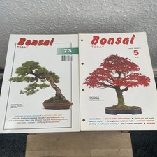 Bonsai Today Pair Magazine Two