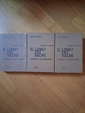 Il libeo dei salmi. Commento e