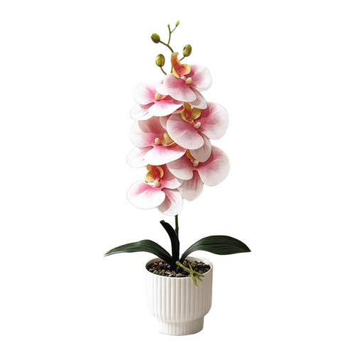 Pianta plastica orchidea - plastica,