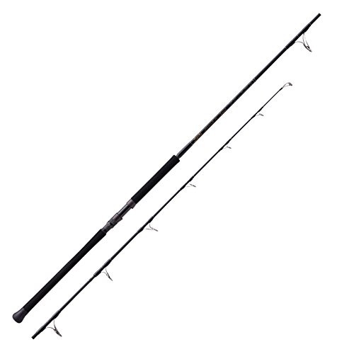 Canna spinning viaggio - da,