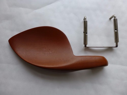 Violino mento riposo - violino,