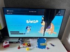 tv 55 pollici sony bravia/per