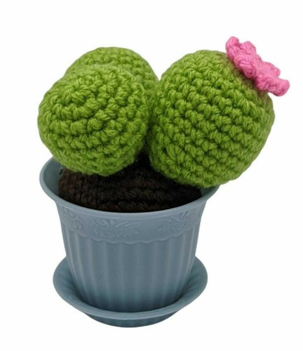 Pianta grassa cactus - , ricamato