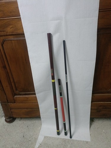 Canna fissa daiwa lotto - fissa, tre