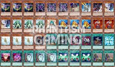 Mazzo Rana Monarca Scambio