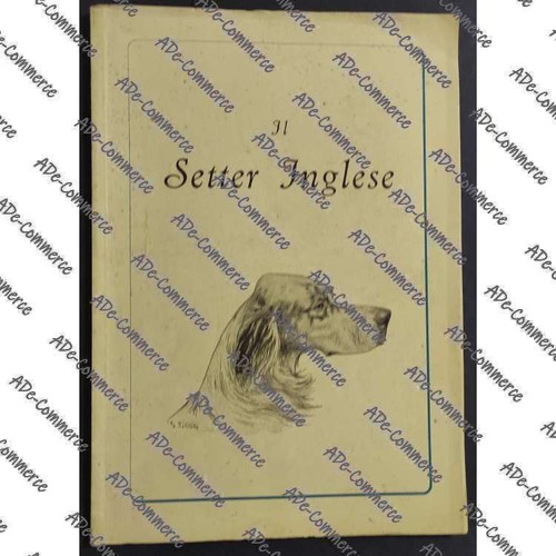Setter inglese g solaro - il, g.