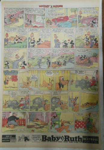Topolino plutone cucciolo - e,