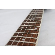 Washburn Ps-500 Consegna