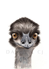 Watercolour Emu Print -