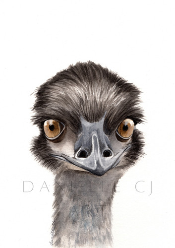 Watercolour emu print - watercolour,