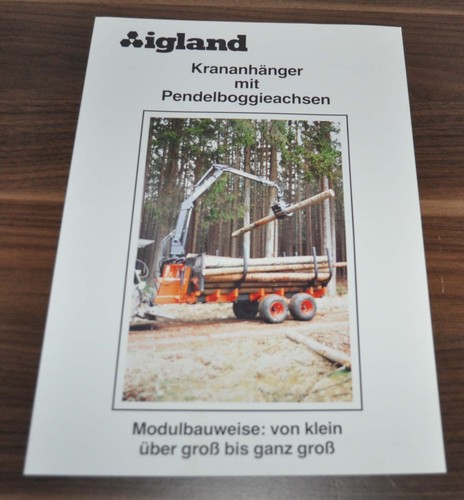 Igland gru gancio macchine