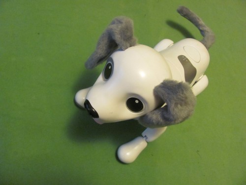 Zoomer cucciolo giocoso cane - zoomer,