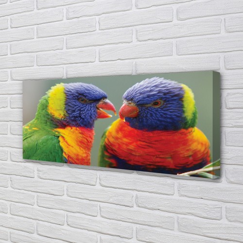Quadro tela tulup 125x50 - quadro,