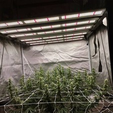 2025 Phlizon 450W EVO Samsung
