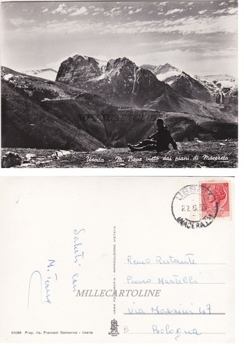 Ussita bove visto - bove, dai