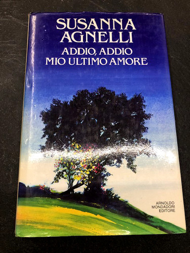 Addio mio ultimo amore - addio,,