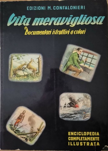 Vita meravigliosa - meravigliosa,