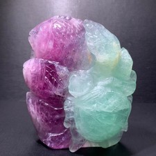 492g Fluorite Naturale Pesce