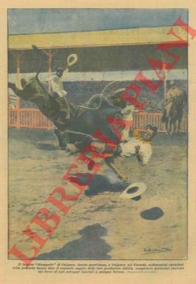 Salvadori in canada - r.,