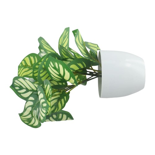 Pianta fogliame fiore