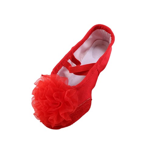 Paio scarpe da ballo con - 1,