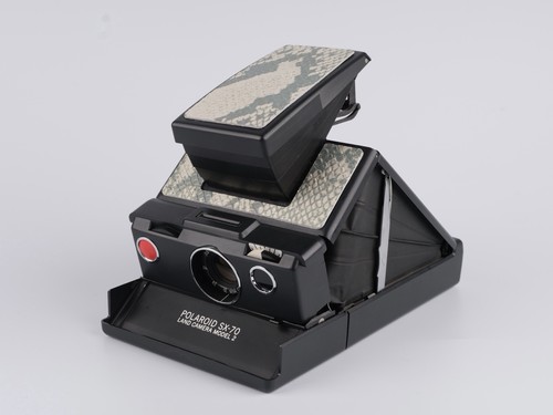 Polaroid model - polaroid, 2