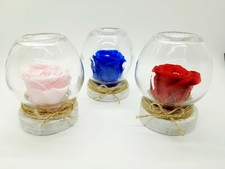 Rosa Stabilizzata Eterna Vera