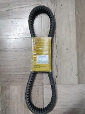Cinghia Trasmissione Dayco