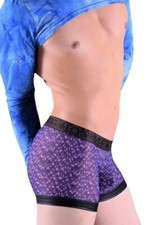 Gregg Homme Second Skin Boxer