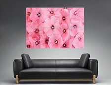 Fiori Vintage Flowers Pink