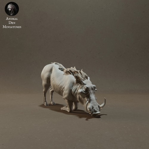 Warthoq facocero animal - warthoq,