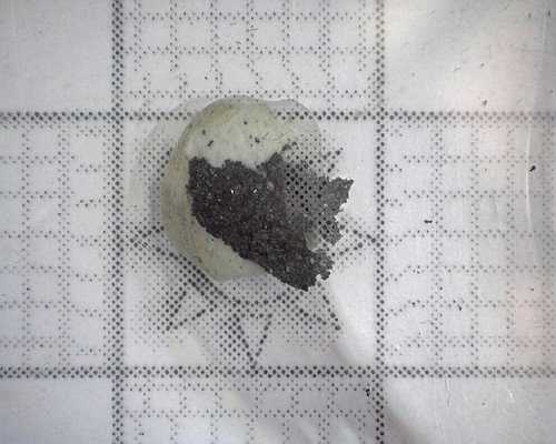 05892 argento acantite - argento,