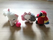 Pappagallo Parlante E Altri