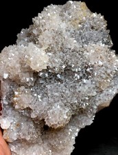 769g NUOVO unico cactus