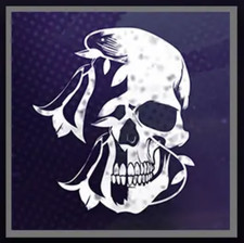 Destiny 2 Spilla + Codice