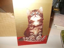 gatti - lotto di 40  PEZZI