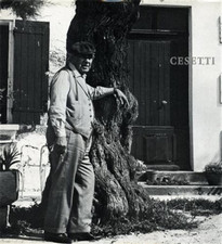 Catalogo della Mostra: -