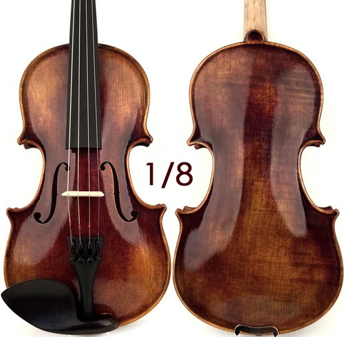 T21 master violino antico - t21+,