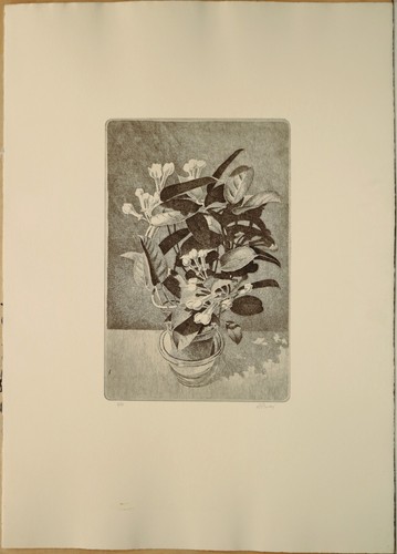 Angelo boni acquaforte - boni,