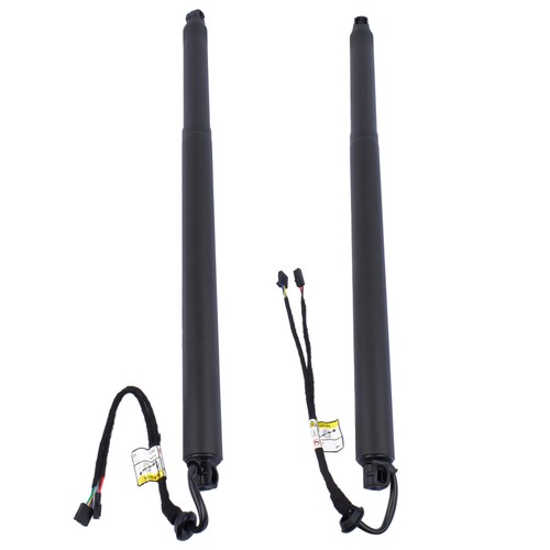 Molle gas portellone - a,