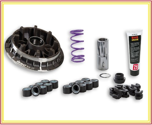 Malossi 5118058 variatore - malossi,