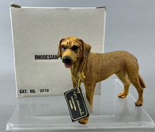 Rhodesian Ridgeback Dog