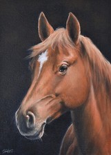 Attraente John Silver dipinto