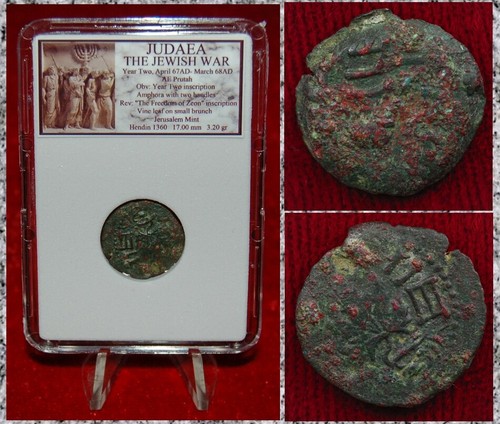Moneta antica giudea guerra - moneta, la