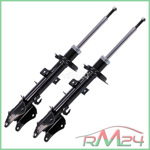 Ammortizzatore asse - 2x,