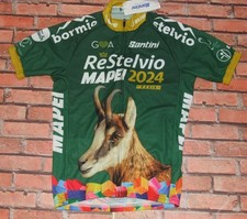 RE STELVIO MAPEI SANTINI